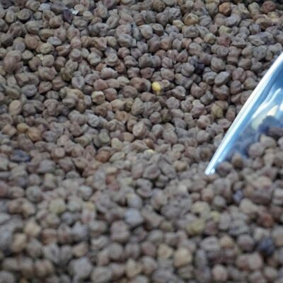 Close-up image of dry chickpeas with a metal scoop, perfect for cooking and culinary themes.